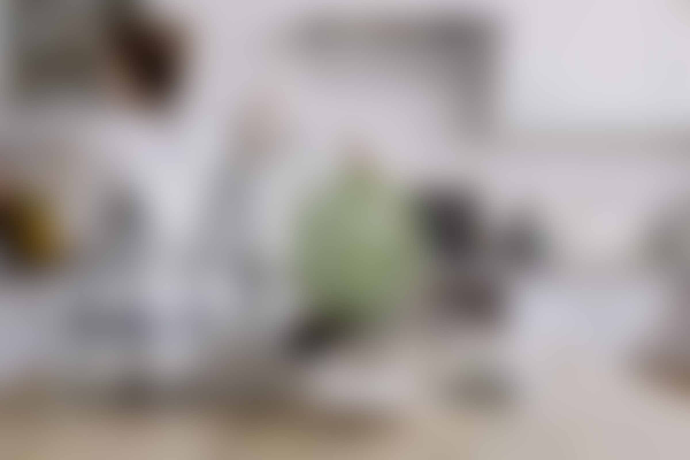 Donec risus nisl, convallis nec est sit amet – post with left sidebar.